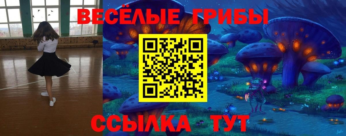 Реж  Галлюциногенные грибы Psilocybe  Вход с VPN 